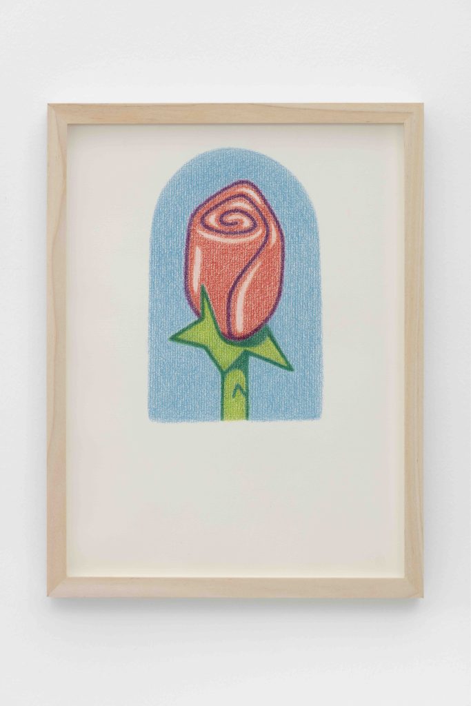 Dianna Molzan, <i>Rose</i>, 2023 </br> colored pencil on paper
</br> 30 x 21 cm / 11.75 x 8.25 in