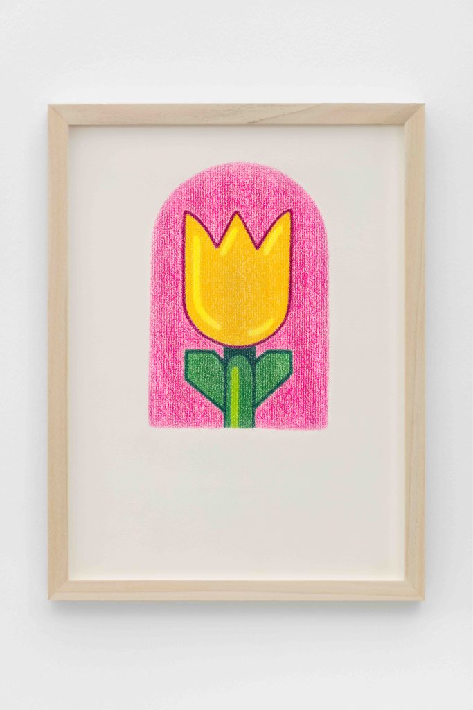 Dianna Molzan, <i>Tulip</i>, 2023 </br> colored pencil on paper
</br> 30 x 21 cm / 11.75 x 8.25 in>