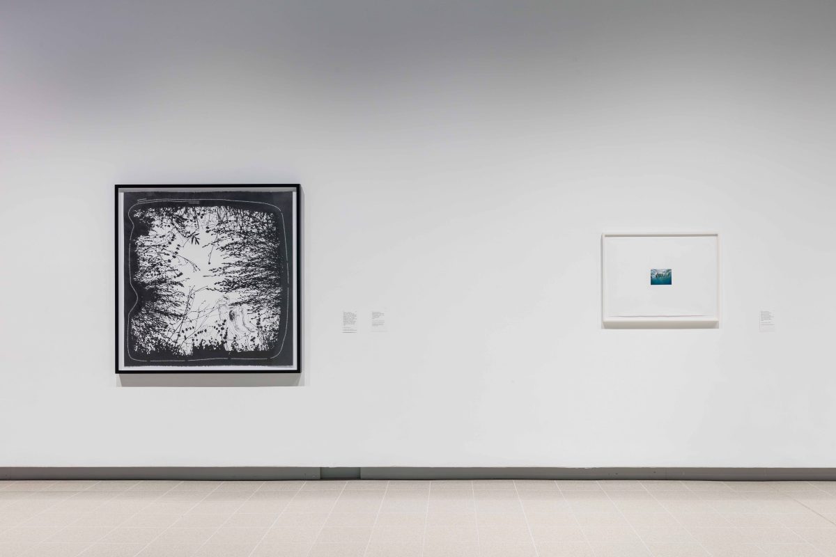 Andrea Bowers, <i>Dear Earth: Art and Hope in Time of Crisis</i>, 2023</br> installation view, Hayward Gallery, London