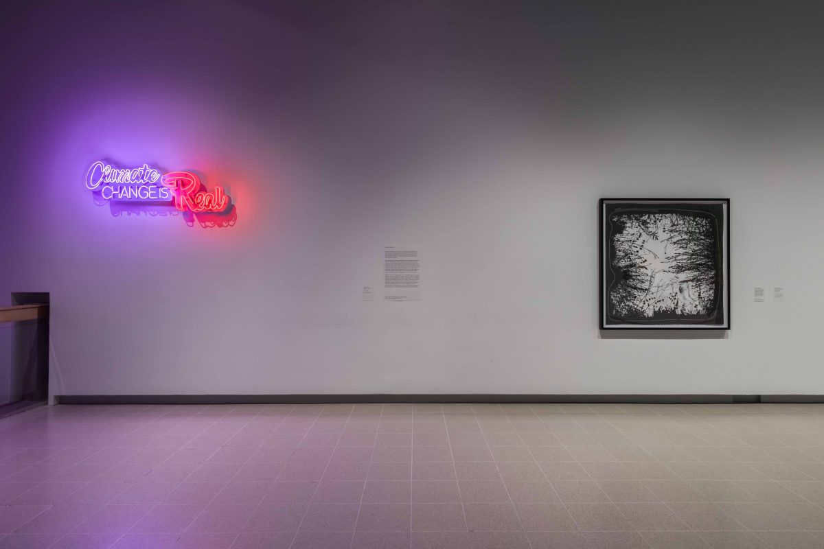 Andrea Bowers, <i>Dear Earth: Art and Hope in Time of Crisis</i>, 2023</br> installation view, Hayward Gallery, London