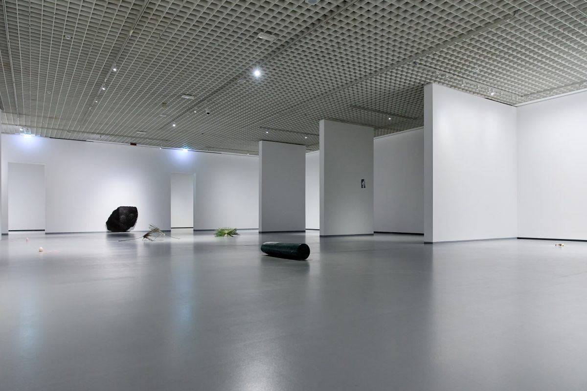 Gianni Caravaggio, <i>Per Analogiam</i>, 2023 </br> installation view, GAM, turin