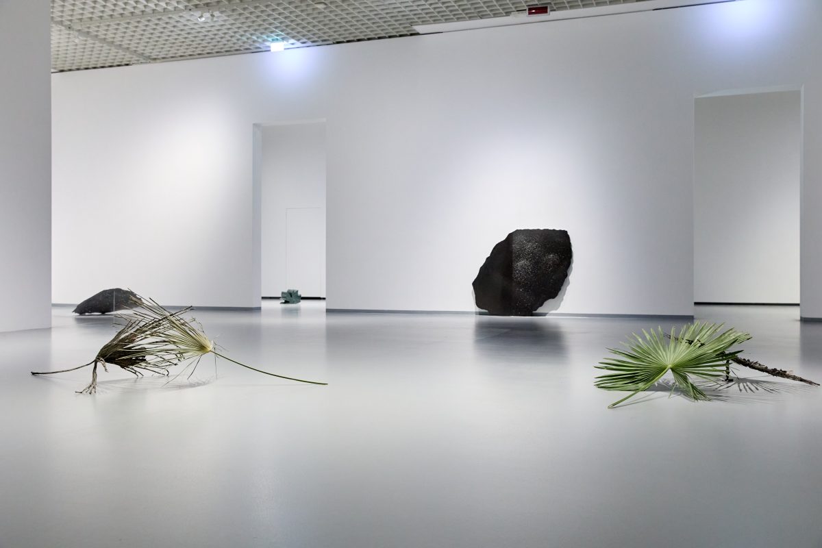 Gianni Caravaggio, <i>Per Analogiam</i>, 2023 </br> installation view, GAM, turin