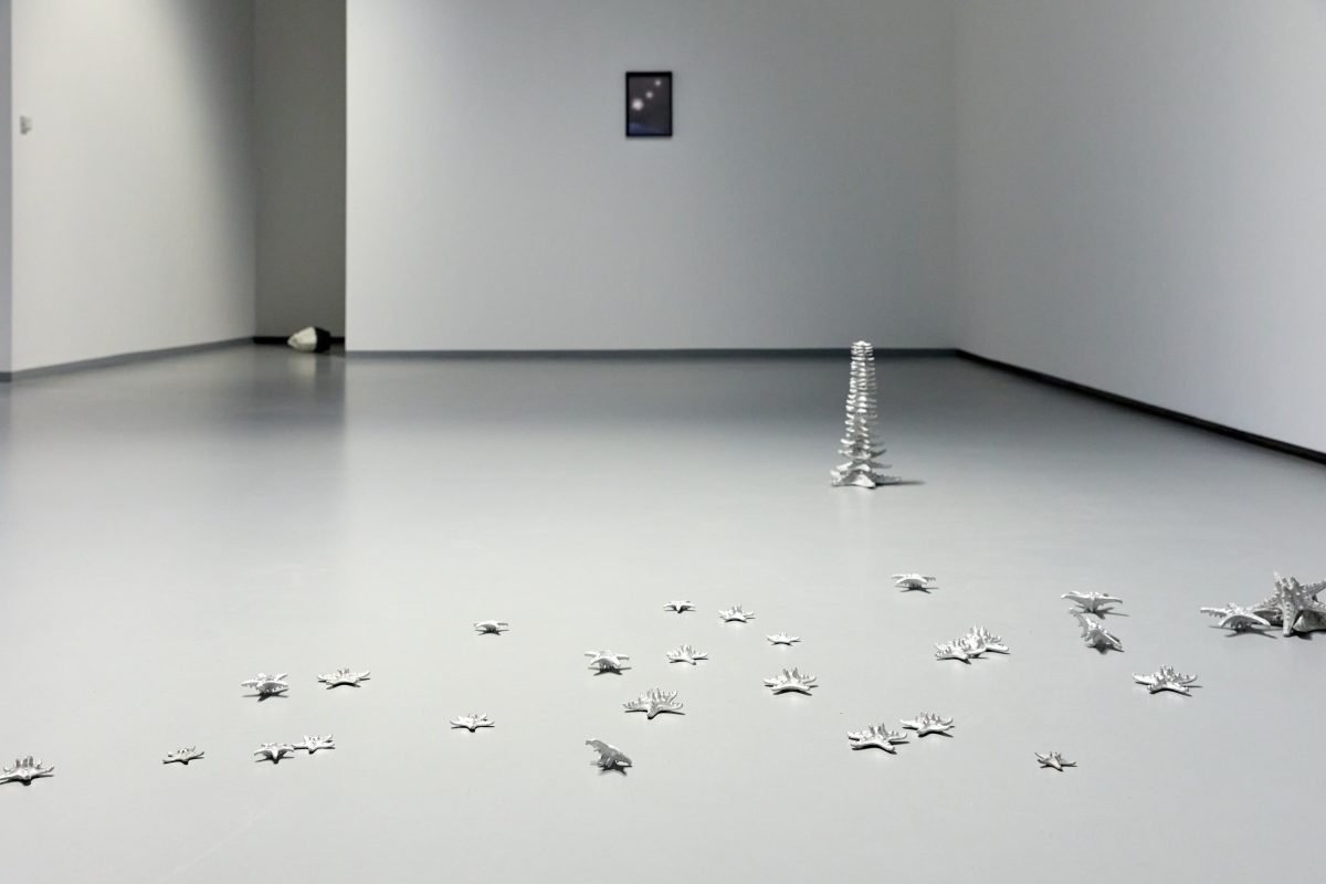 Gianni Caravaggio, <i>Per Analogiam</i>, 2023 </br> installation view, GAM, turin
