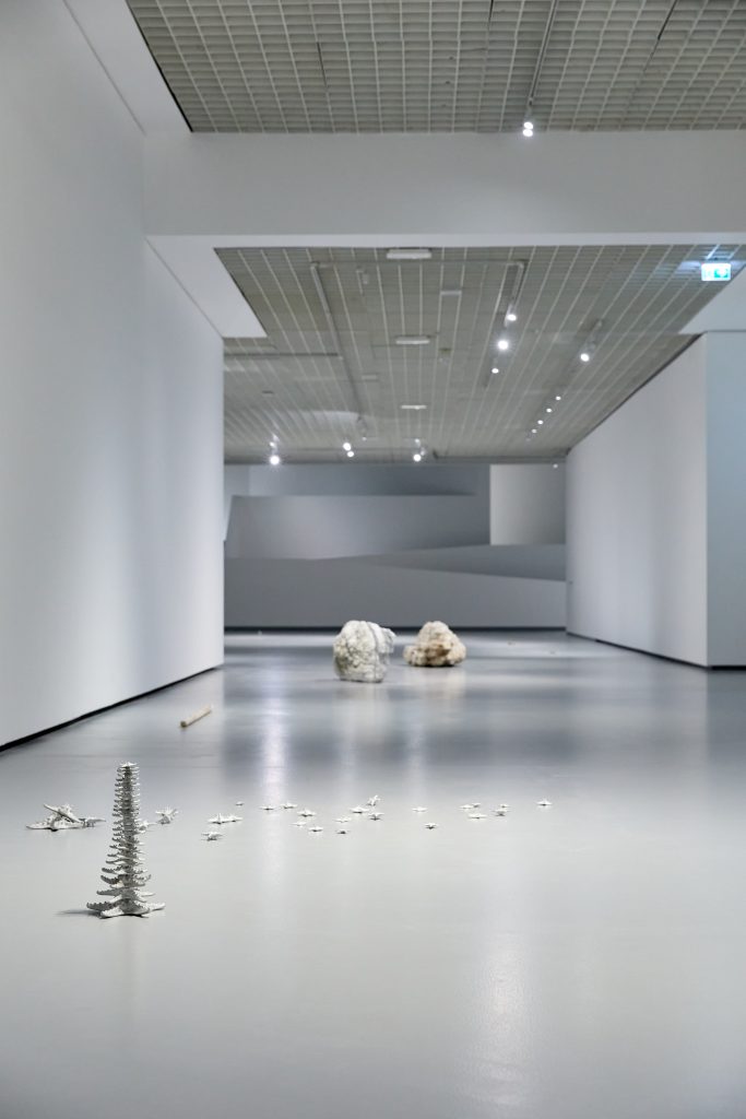 Gianni Caravaggio, <i>Per Analogiam</i>, 2023 </br> installation view, GAM, turin