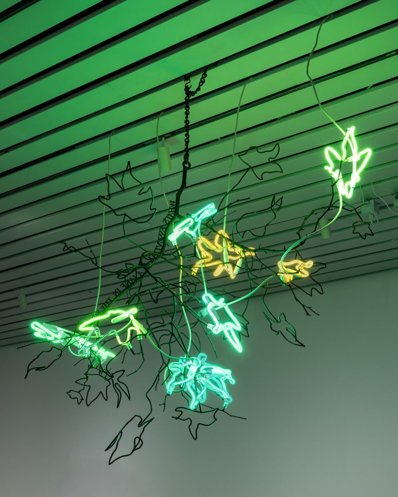 <i>Andrea Bowers. Exist, Flourish, Evolve</i>, 2023 </br> installation view, Museum of Contemporary Art, Cleveland
