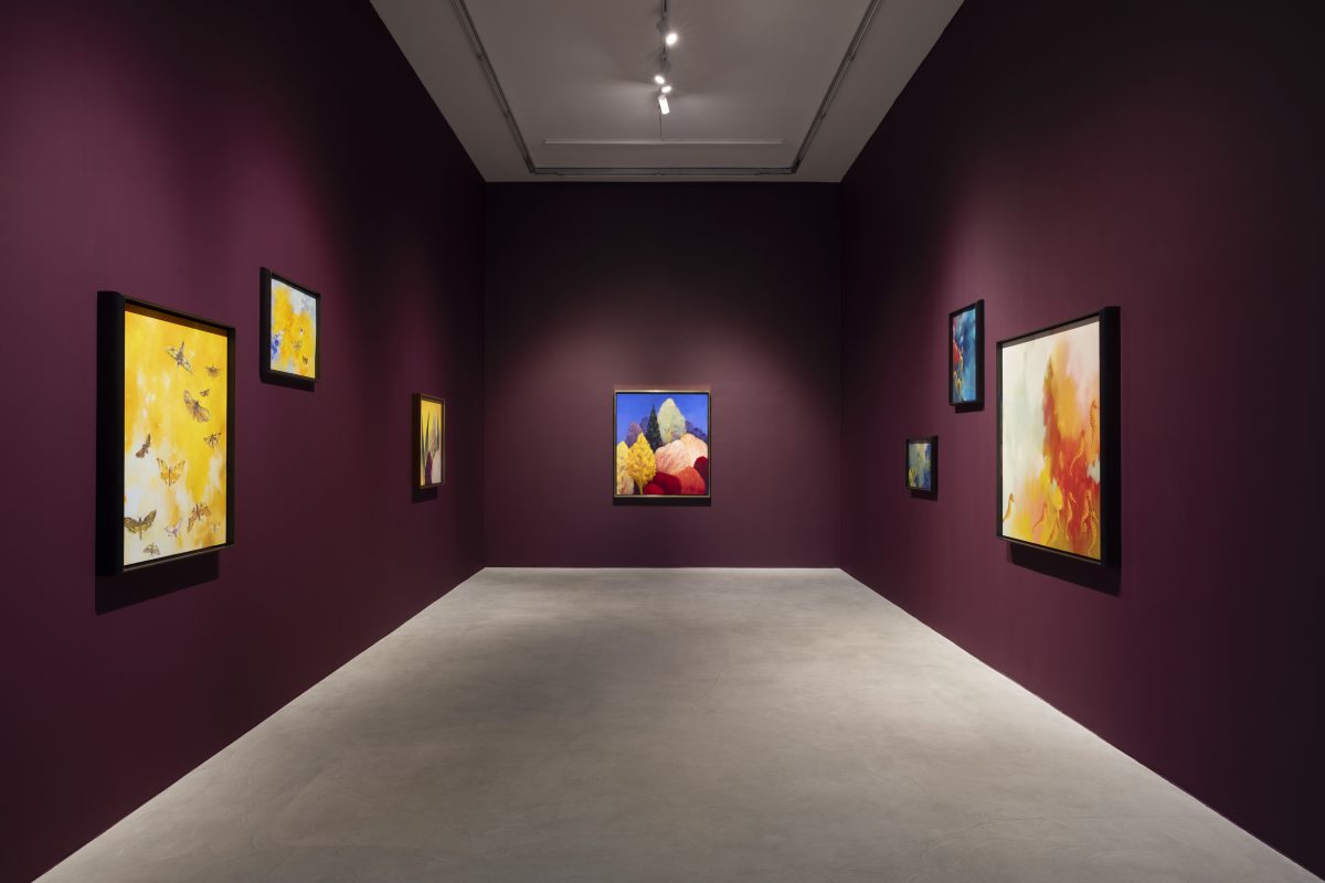 <i>Seahorse</I>, 2024</br>
installation view, kaufmann repetto milan
