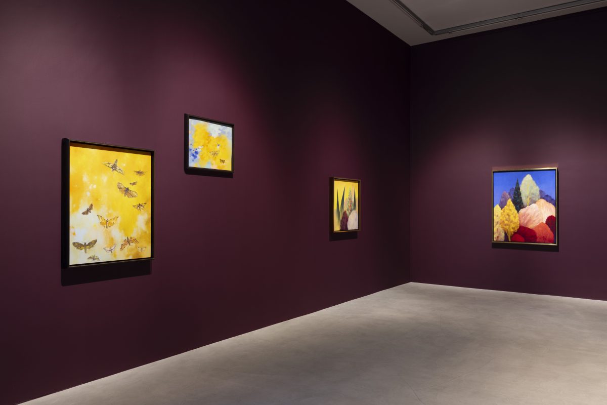 <i>Seahorse</I>, 2024</br>
installation view, kaufmann repetto milan