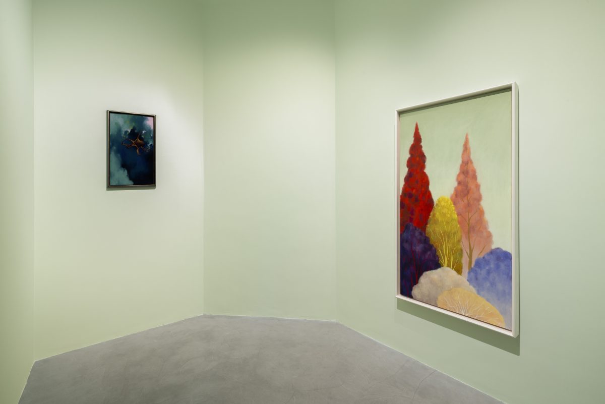 <i>Seahorse</I>, 2024</br>
installation view, kaufmann repetto milan