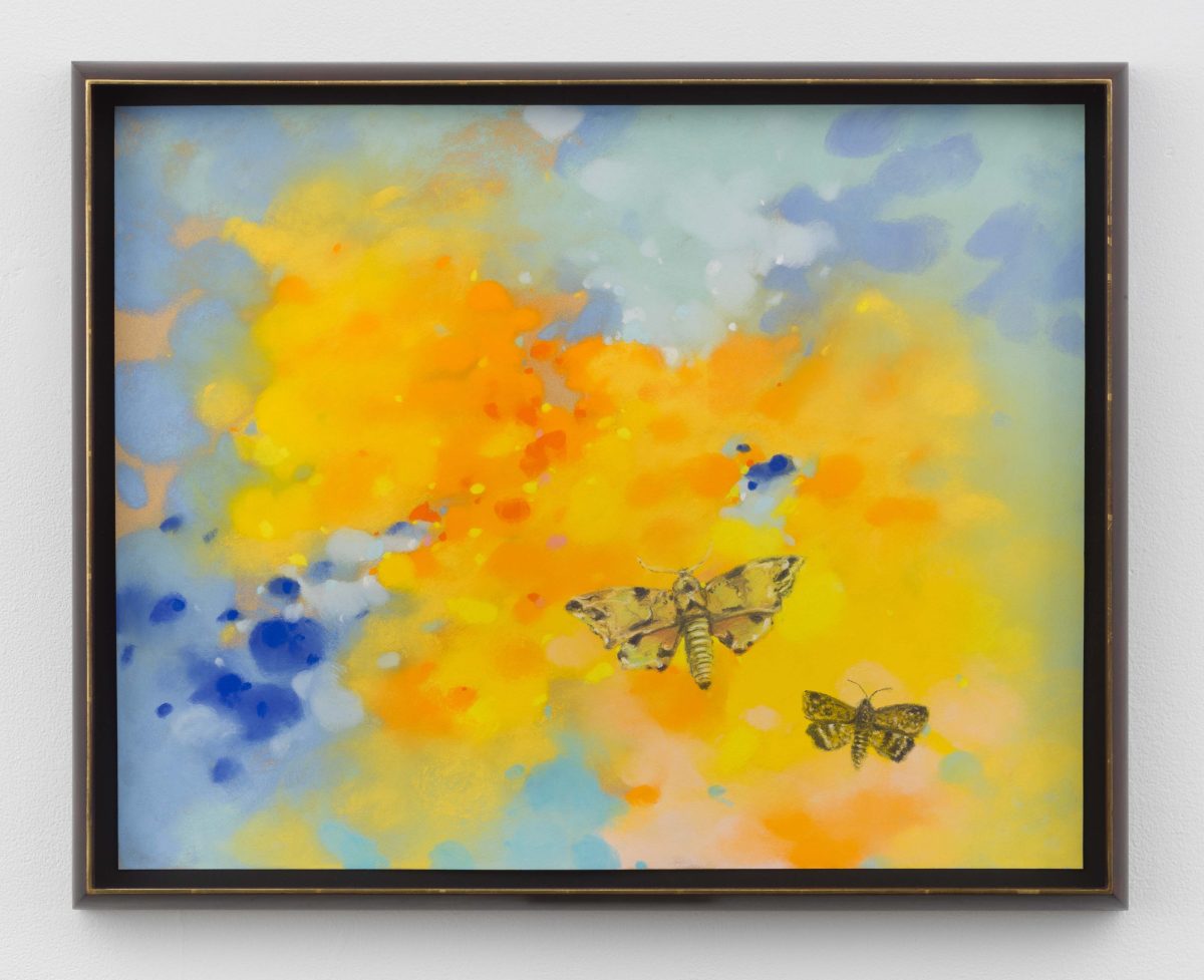 <i>Moths</I>, 2024</br>
soft pastel on pastel card</br>
49,6 x 63 cm / 19.5 x 24.8 in