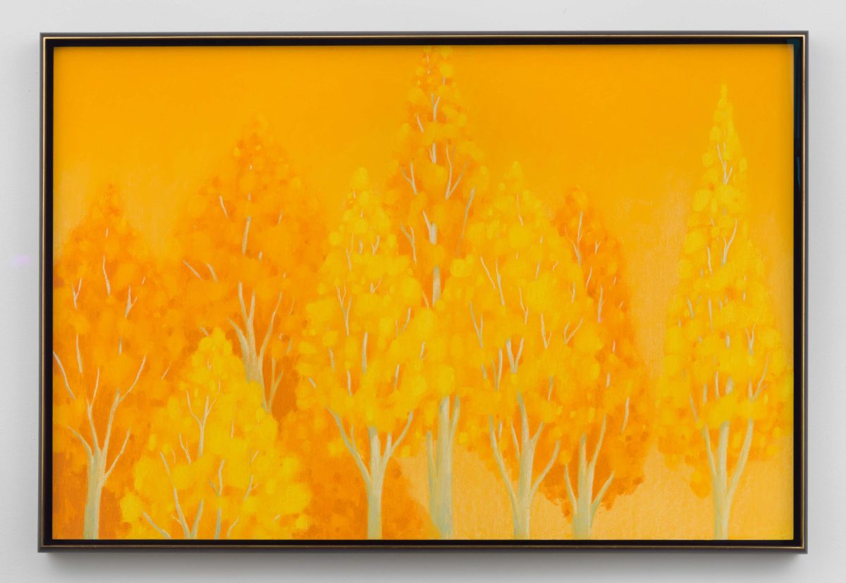 <i>Landscape</I>, 2024</br>
soft pastel on linen</br>
100 x 150 cm / 39.3 x 59 in