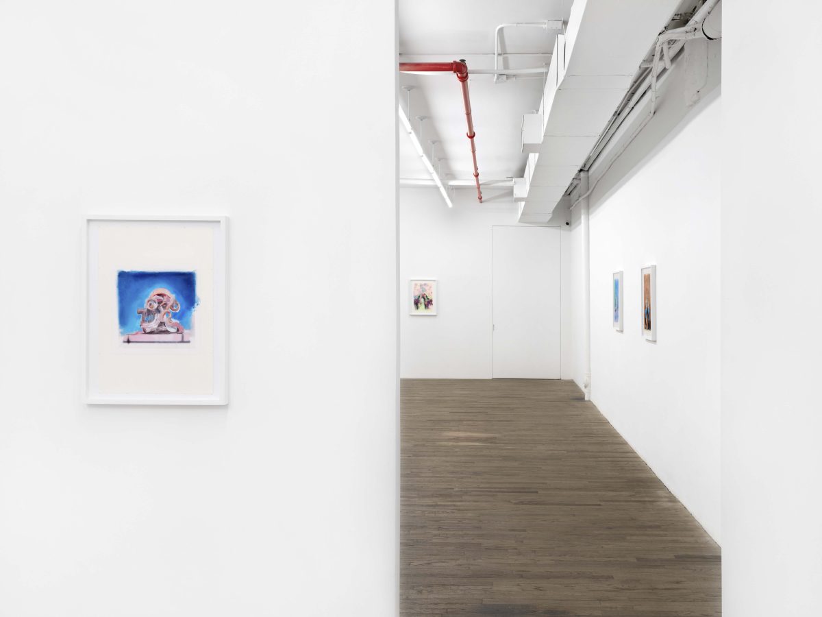 <i>I miei ricordi, frutto d’inspiegabile agitazione</I>, 2024</br>
installation view, kaufmann repetto, New York
