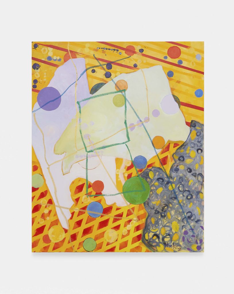 <i> Wander/Wonder: Maps Necessary for a Walk in 4 D, #5 </I>, 2004</br>
acrylic on canvas</br>
139,7 x 114,3 cm / 55 x 45 in
