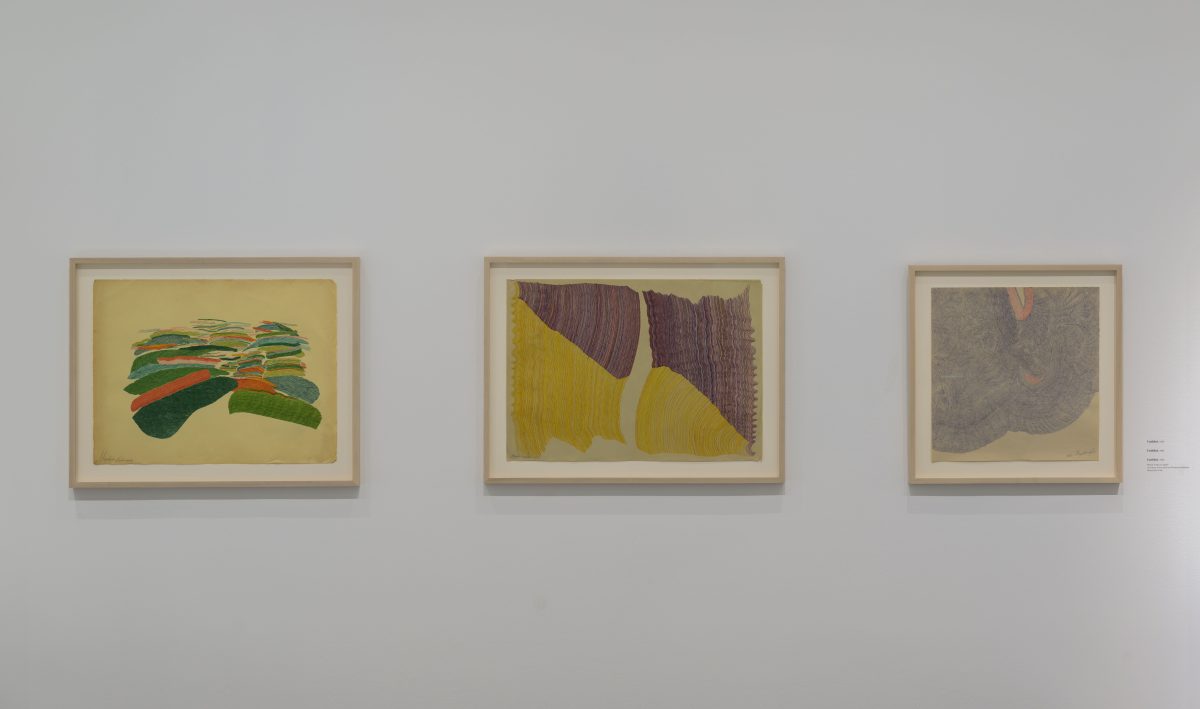 <i> The Finest Disregard </i>, 2024 </br> installation view, 
Los Angeles County Museum of Art, Los Angeles 