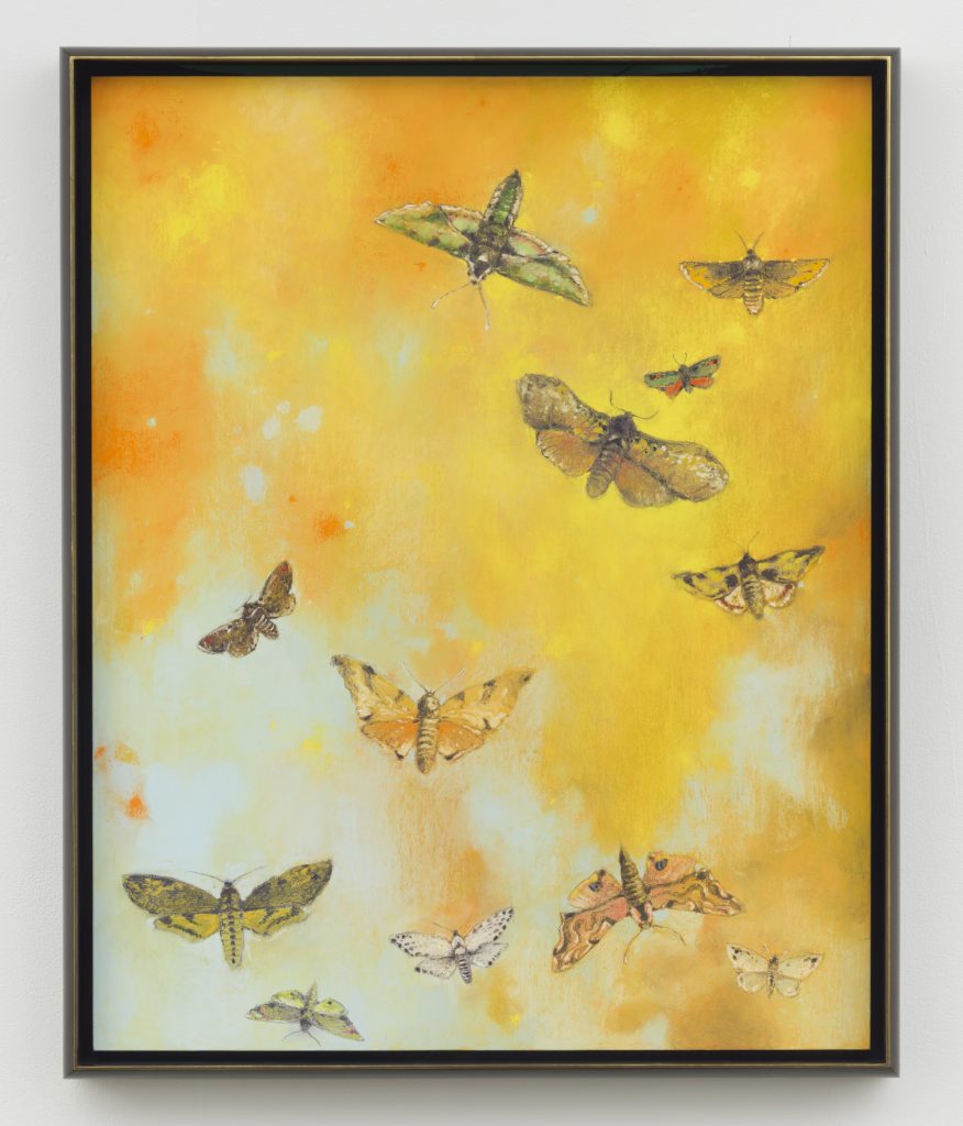 <i>Moths</i>, 2023
</br>
soft pastel on linen </br> 100 x 80 cm / 39.3 x 31.4 in>