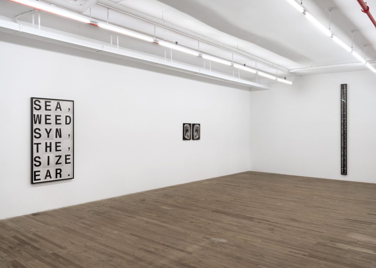 <i>THE SEAWEED SYTHESIZER</i>, 2025 </br>
installation view, kaufmann repetto, new york</br>