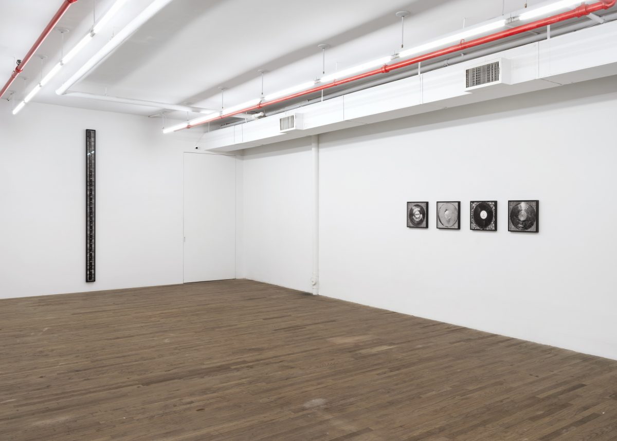 <i>THE SEAWEED SYTHESIZER</i>, 2025 </br>
installation view, kaufmann repetto, new york</br>
>