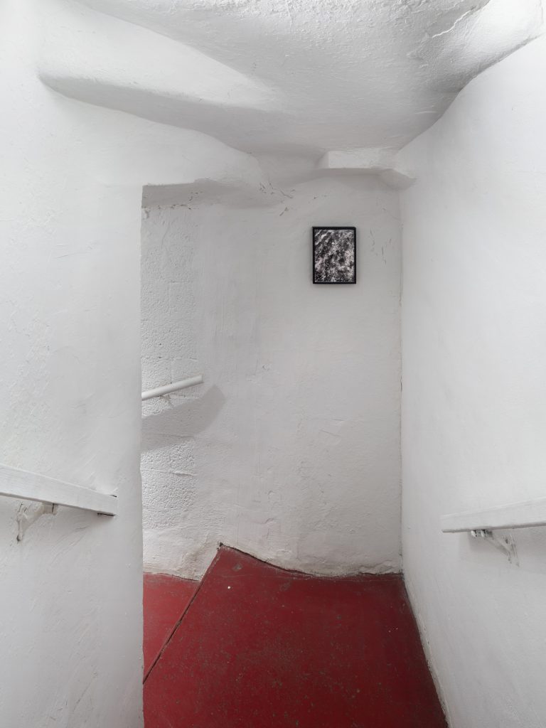 <i>THE SEAWEED SYTHESIZER</i>, 2025 </br>
installation view, kaufmann repetto, new york</br>