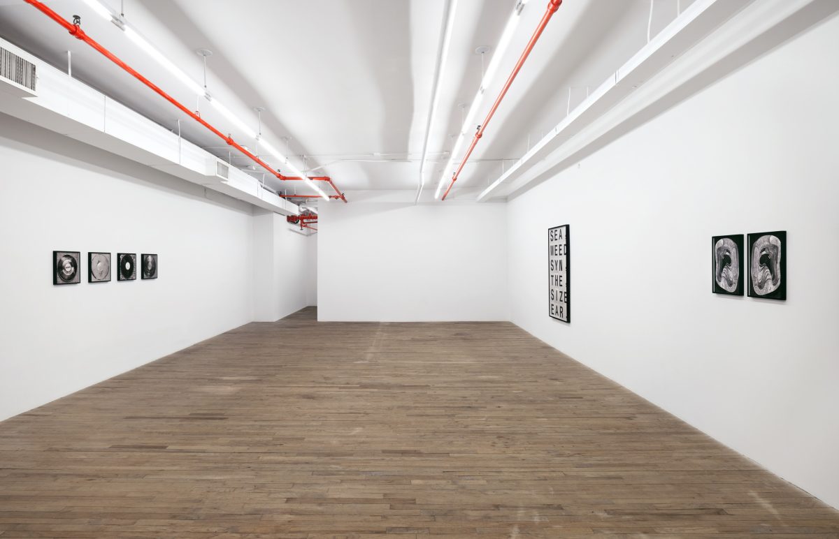<i>THE SEAWEED SYTHESIZER</i>, 2025 </br>
installation view, kaufmann repetto, new york</br>>
