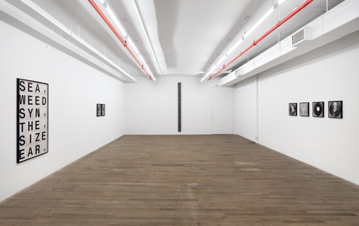<i>THE SEAWEED SYTHESIZER</i>, 2025 </br>
installation view, kaufmann repetto, new york</br>>
