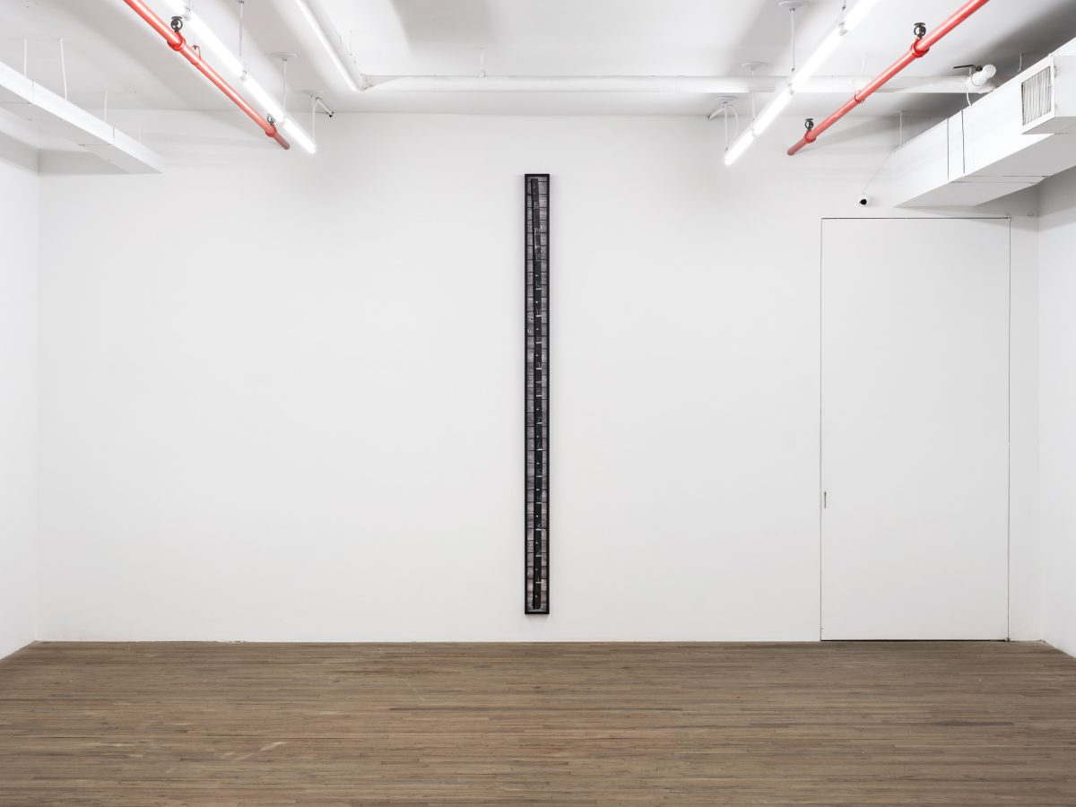 <i>THE SEAWEED SYTHESIZER</i>, 2025 </br>
installation view, kaufmann repetto, new york</br>