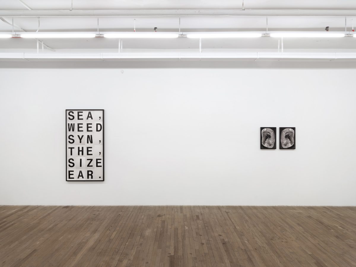 <i>THE SEAWEED SYTHESIZER</i>, 2025 </br>
installation view, kaufmann repetto, new york</br>>