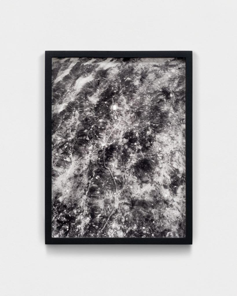 <i>Sound Fish Hydrophone (MW)</i>, 2022-2025 </br>
archival pigment print</br>
27,4 x 20,1 cm / 10.8 x 7.9 in>