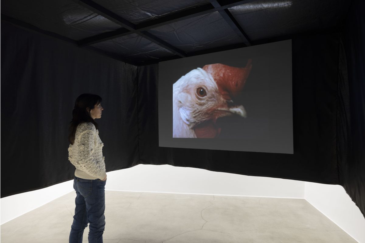 <i>flying cinema,</i> 2025 </br>
installation view, kaufmann repetto, milan</br>>
