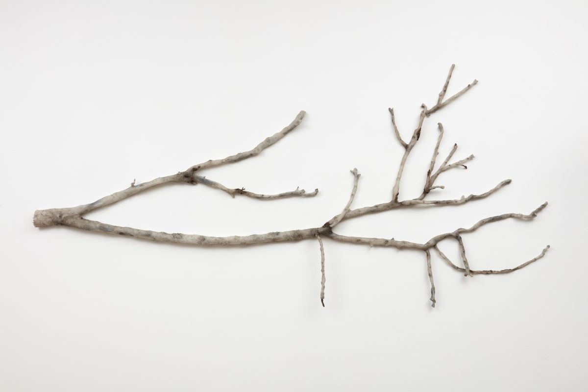 <i>Rising Temperature Casualty (Prunus persica var. nucipersica, home garden, Los Angeles)</i>, 2021</br>Silicone, black pigment, tree bark</br>
112 × 292 × 10.2 cm / 44 × 115 × 4 in>