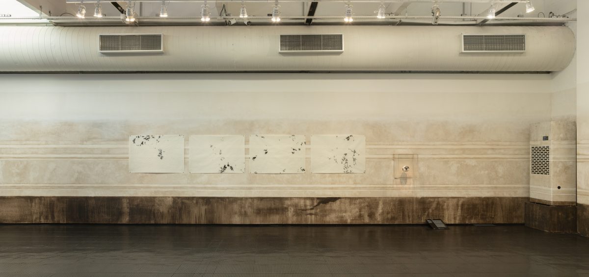<i>Clarissa Tossin: Point of No Return</i>, 2025
</br> installation view, MASP - Museum of Art of São Paulo, São Paulo
