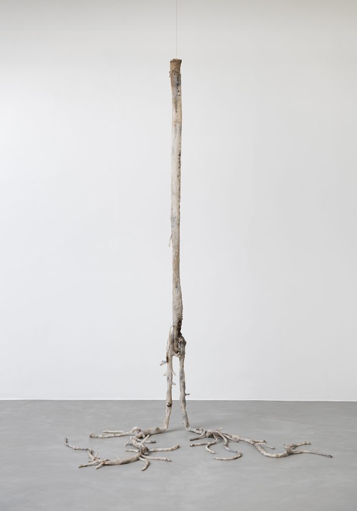 <i>Circumnavigation Towards Exhaustion</i>, 2021
</br> installation view, Kunsthalle Mulhouse, Mulhouse>