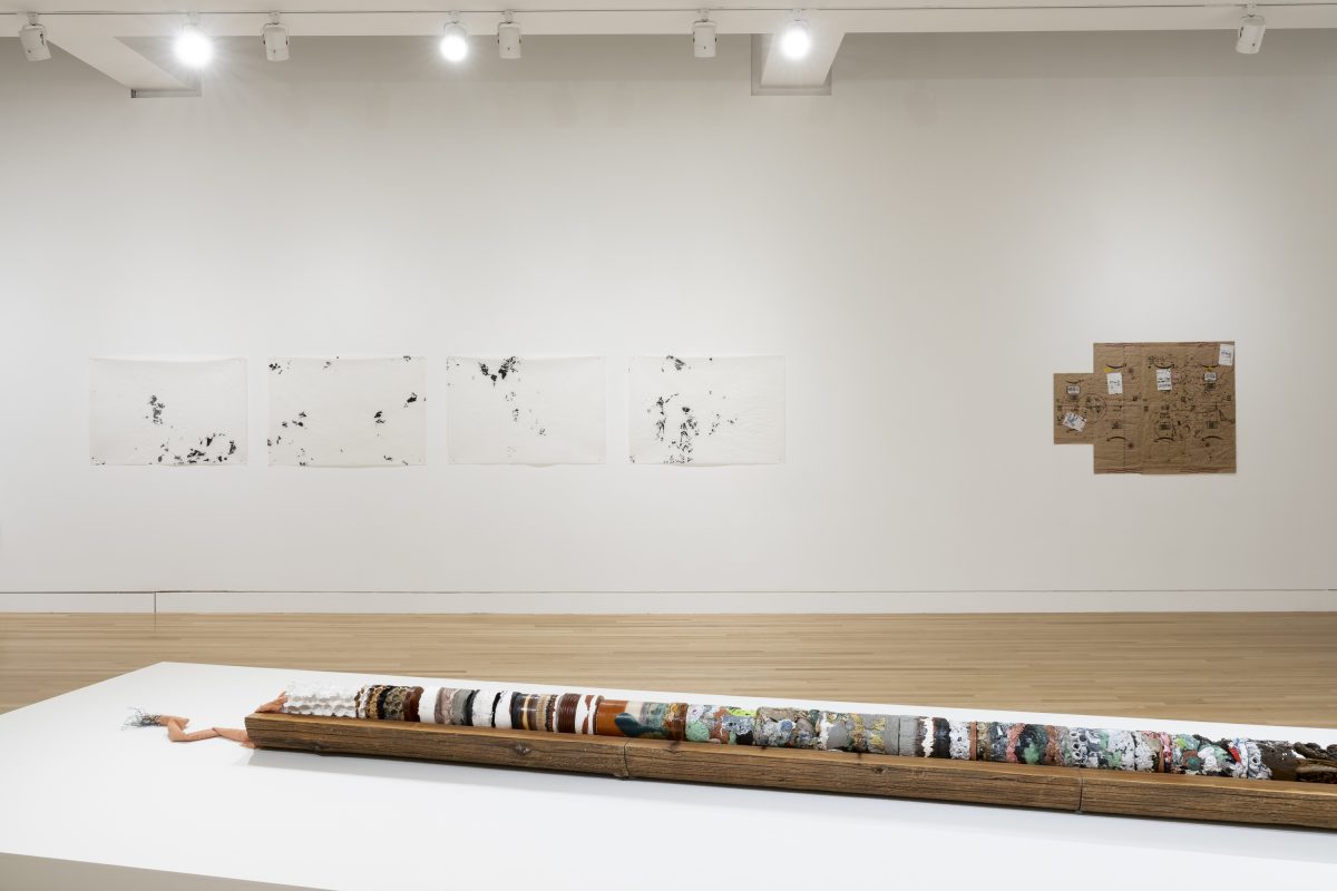 <i>Clarissa Tossin: to take root among the stars</i>, 2023
</br> installation view, Frye Art Museum, Seattle>