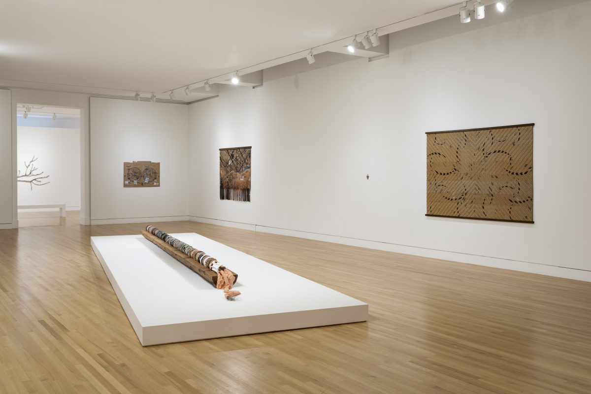 <i>Clarissa Tossin: to take root among the stars</i>, 2023
</br> installation view, Frye Art Museum, Seattle>