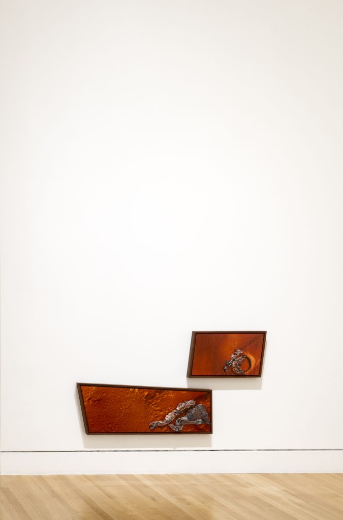 <i>Clarissa Tossin: to take root among the stars</i>, 2023
</br> installation view, Frye Art Museum, Seattle>