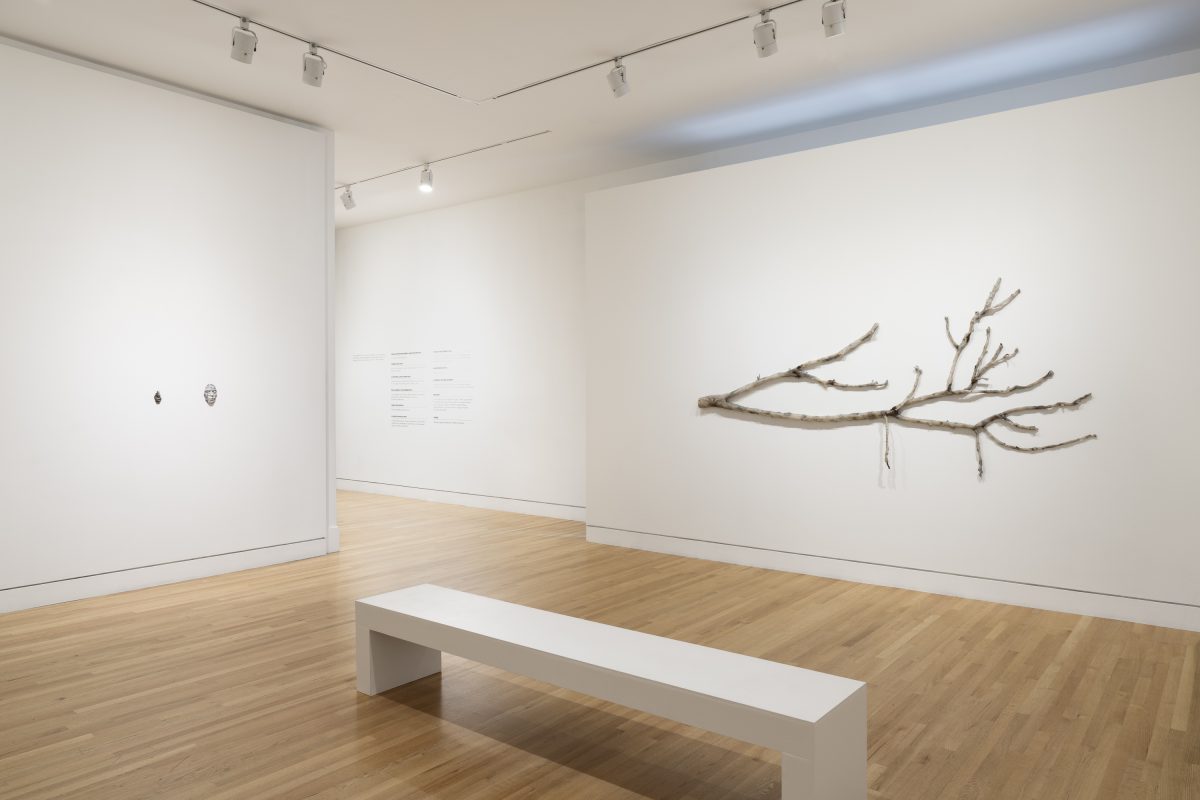 <i>Clarissa Tossin: to take root among the stars</i>, 2023
</br> installation view, Frye Art Museum, Seattle>