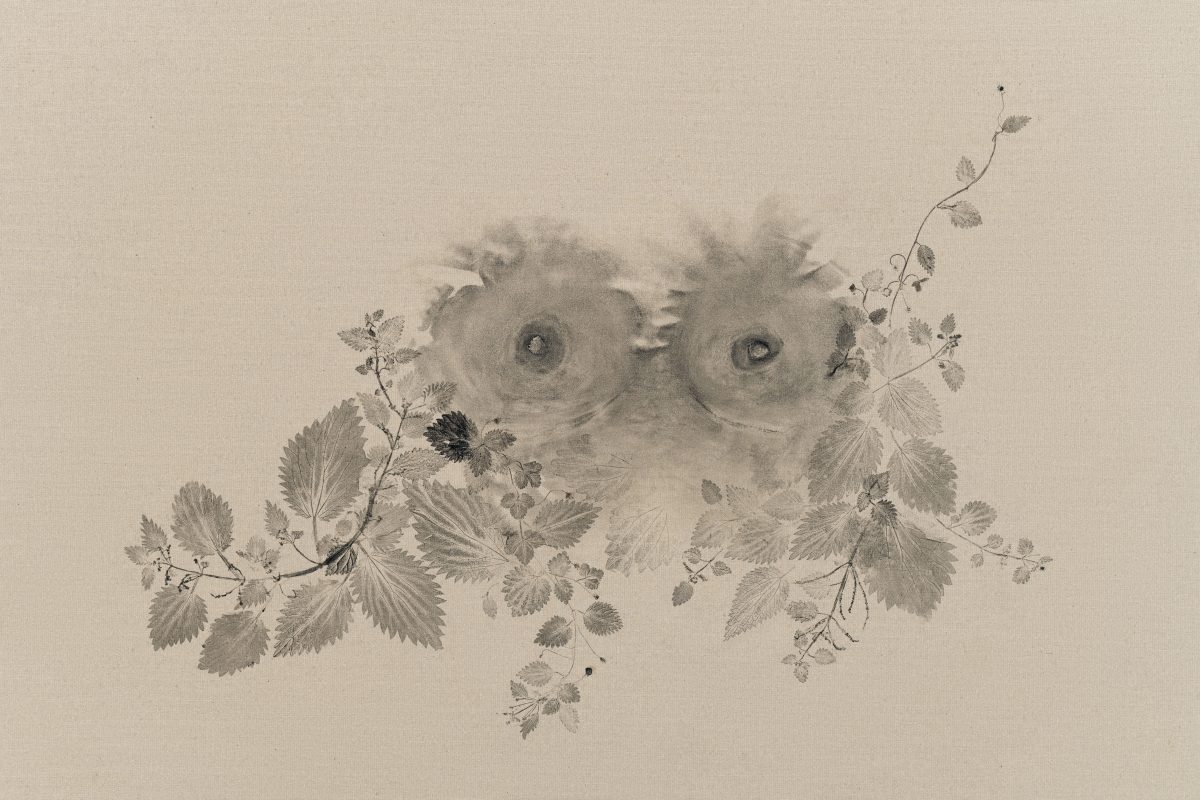 <i>Piante Vagabonde: Bardana, Fragole Selvatiche ed Erba Muraiola, Roma / Ervas Daninhas: Bardana, Morangos Silvestres, e Erva-das-muralhas, Roma </br>Weeds: Burdock, Wild Strawberries, and Sticky Weed, Rome</i>, 2025</br> block printing ink canvas</br>
210 x 150 x 3 cm / 82.5 x 59 x 1 in>