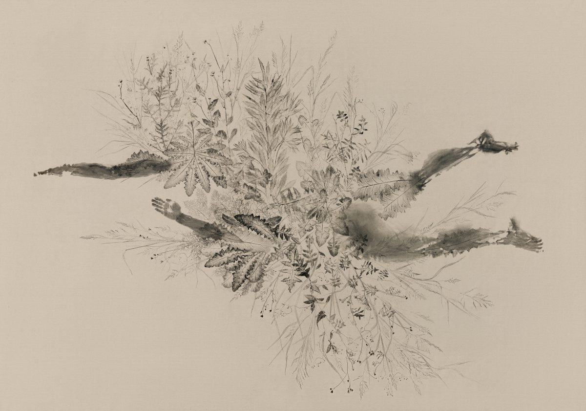 <i>Piante Vagabonde: Cinquefoglia e Sherardia, Rome / Ervas Daninhas: Cincoenrama e Sherardia, Roma</br>Weeds: Cinquefoil iannd Field Madder, Rome</I>, 2025</br> detail>