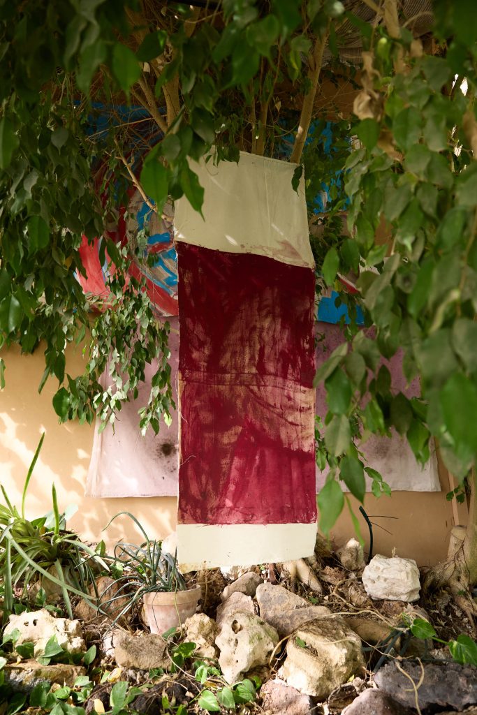 <i>Tintin Nina,</i> 2025 </br>
installation view, Orto Botanico della Sapienza Università di Roma and Conciliazione 5