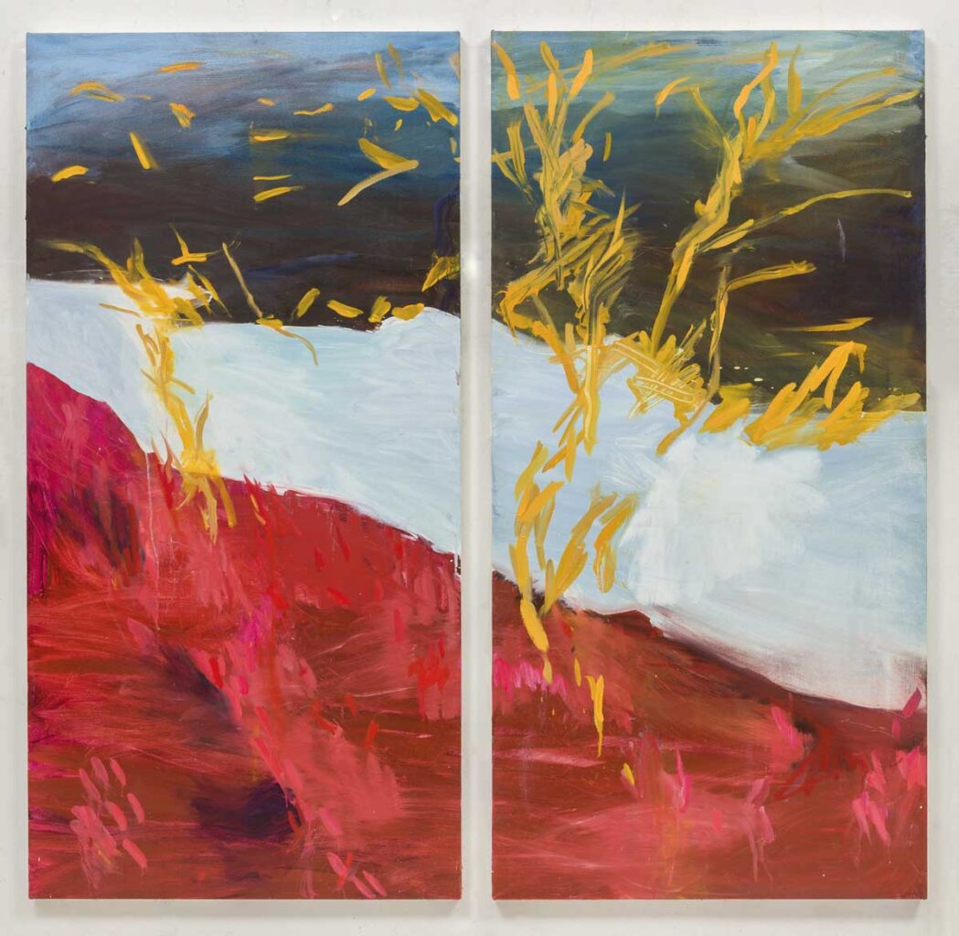 <i>Purlieu,</i> 2013 </br>
installation view,  A.I.R. Gallery, new york >