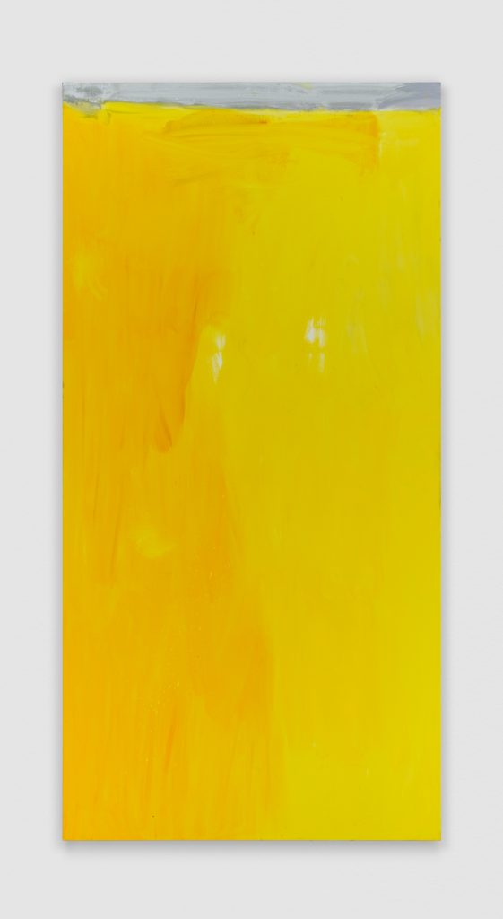 <i>Light Trap #8</i>, 2024</br>
oil on canvas</br>
228,5 x 114,5 cm / 90 x 45 in>