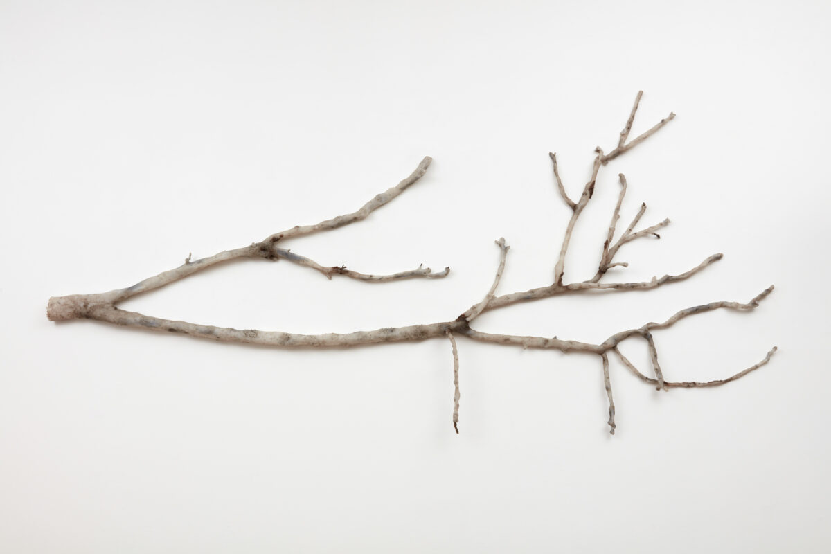 <i>Rising Temperature Casualty (Prunus persica var. nucipersica, home garden, Los Angeles)</i>, 2021 </br>
silicone, black pigment, and tree bark</br>
292 x 112 x 10 cm / 44 x 115 x 4 in (approx)