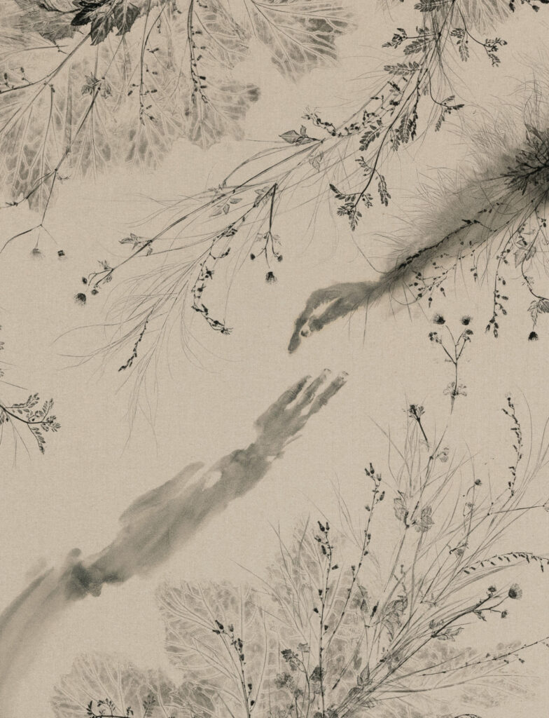 <i>Piante vagabonde: Acanthus mollis, Atwater, Los Angeles</i>, 2026 </br>detail