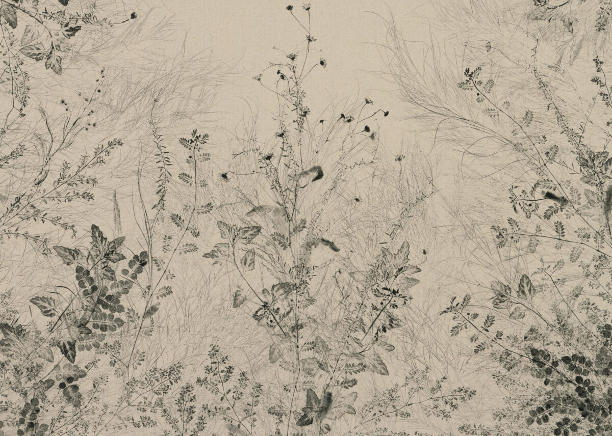 <i>Piante vagabonde: grasses and ground cover, Studio back alley, Los Angeles</i>, 2026 </br>detail
