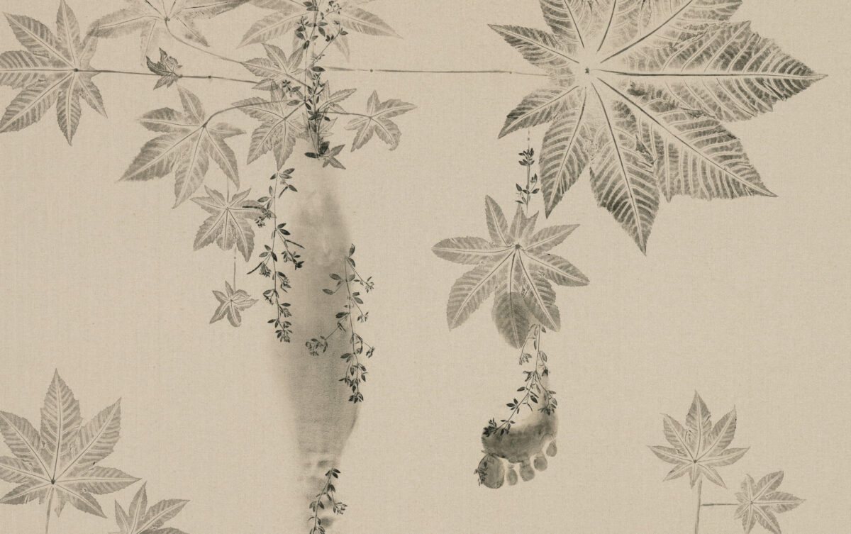 <i>Piante vagabonde: Castor-oil plant, Downtown, Los Angeles</i>, 2026 </br>detail
