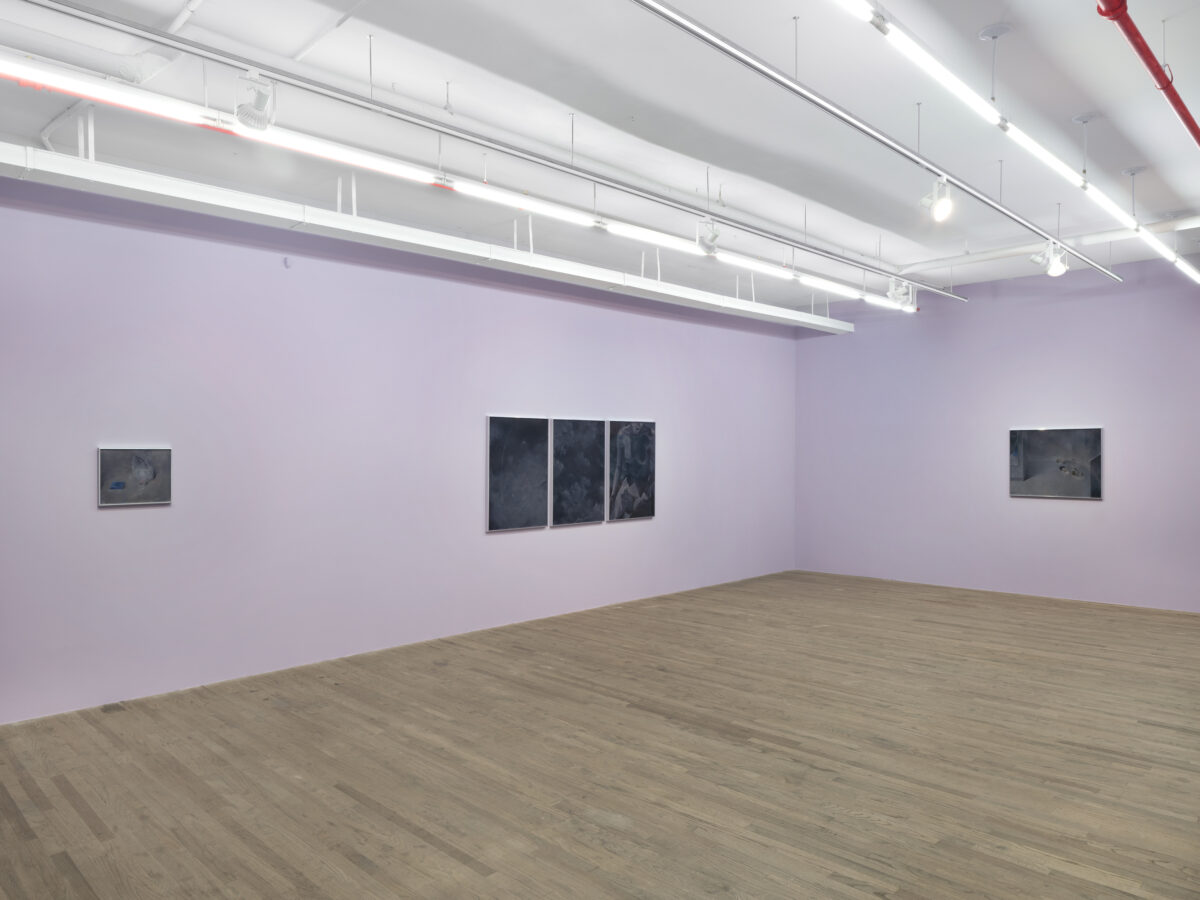 <i>A Moonless Plateau,</i> 2026 </br>
installation view,  kaufmann repetto, new york