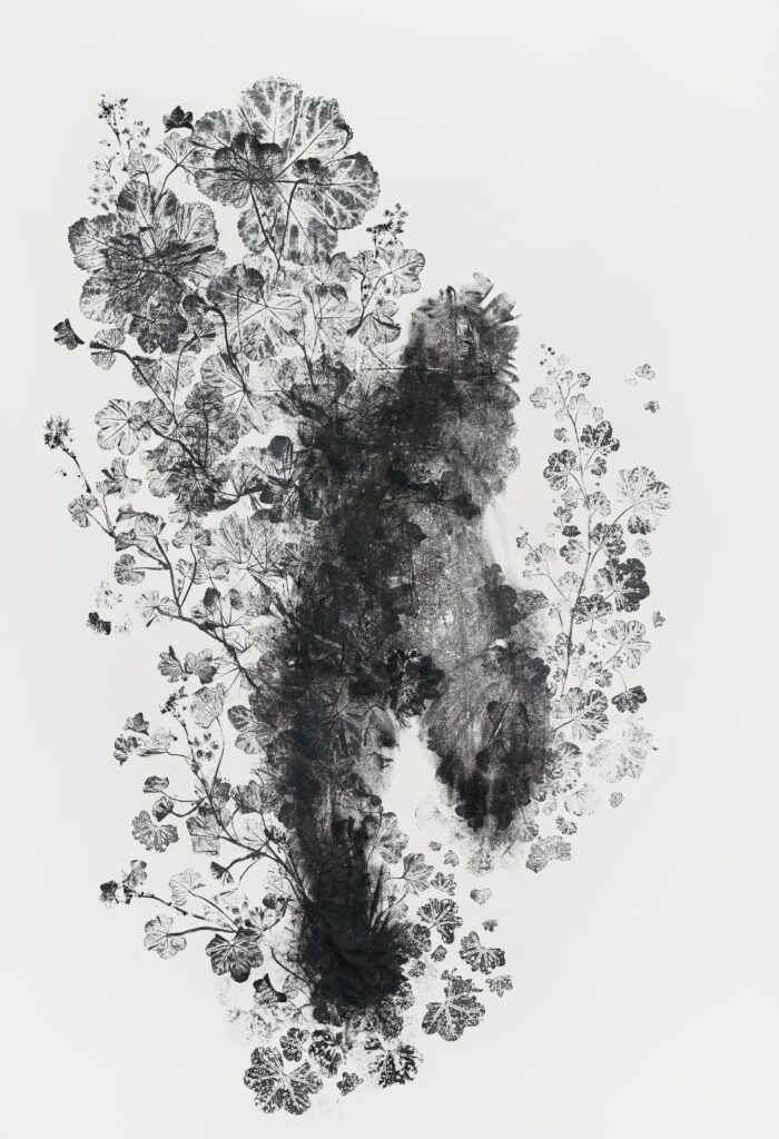 <i>Piante Vagabonde: Malva Neglecta, Roma</i>, 2025 </br>
oil-based printing ink on gessoed canvas</br>
152 x 106 cm / 59.8 x 41.7 in