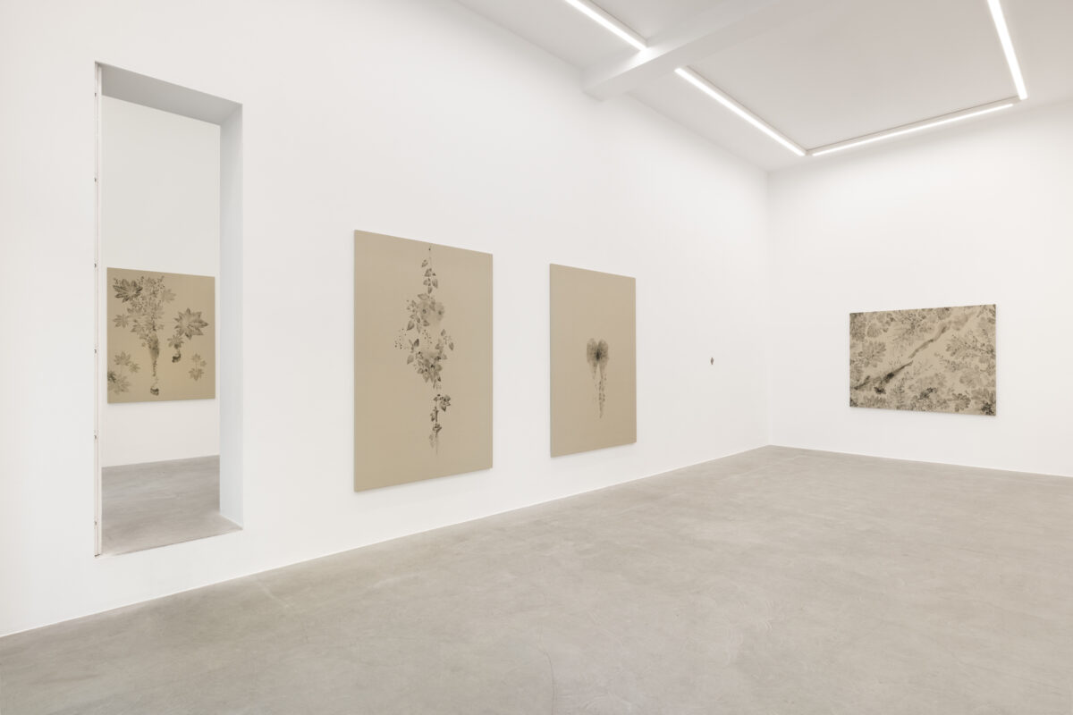 <i>Piante Vagabonde,</i> 2026 </br>
installation view,  kaufmann repetto, milan
