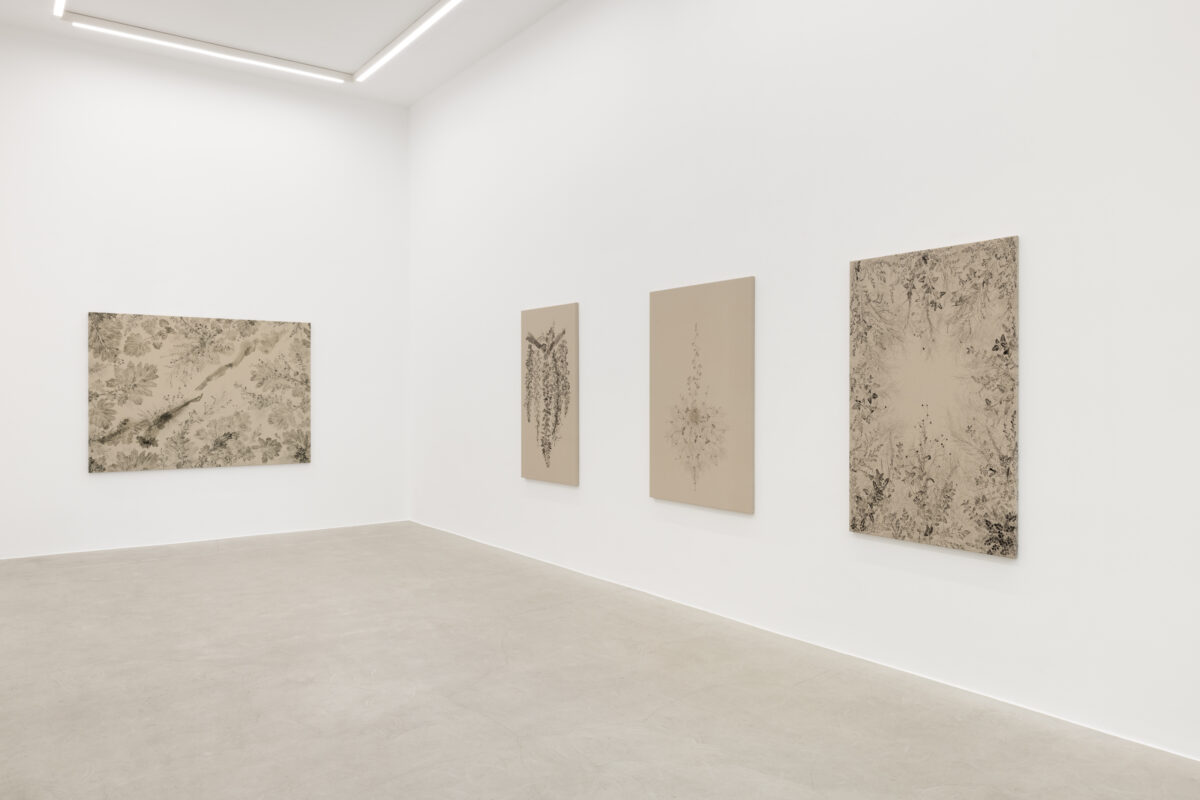 <i>Piante Vagabonde,</i> 2026 </br>
installation view,  kaufmann repetto, milan
