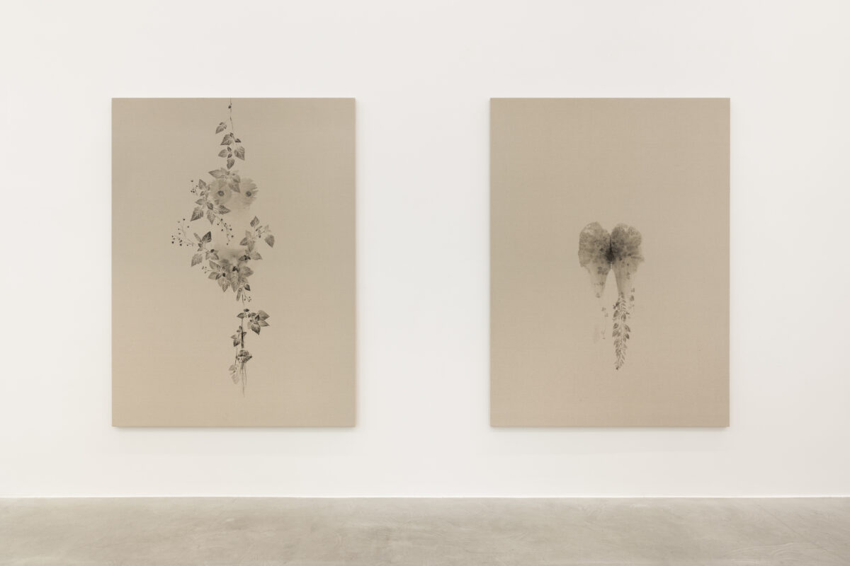 <i>Piante Vagabonde,</i> 2026 </br>
installation view,  kaufmann repetto, milan