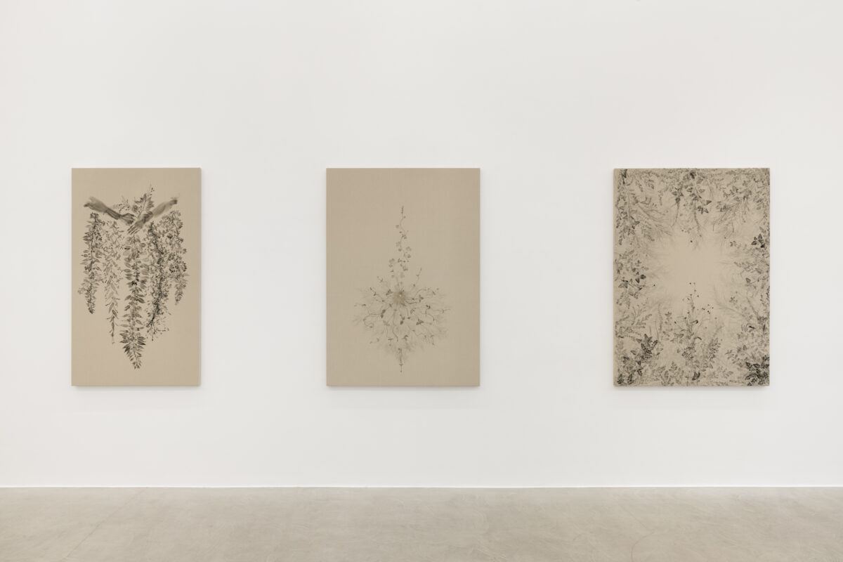 <i>Piante Vagabonde,</i> 2026 </br>
installation view,  kaufmann repetto, milan