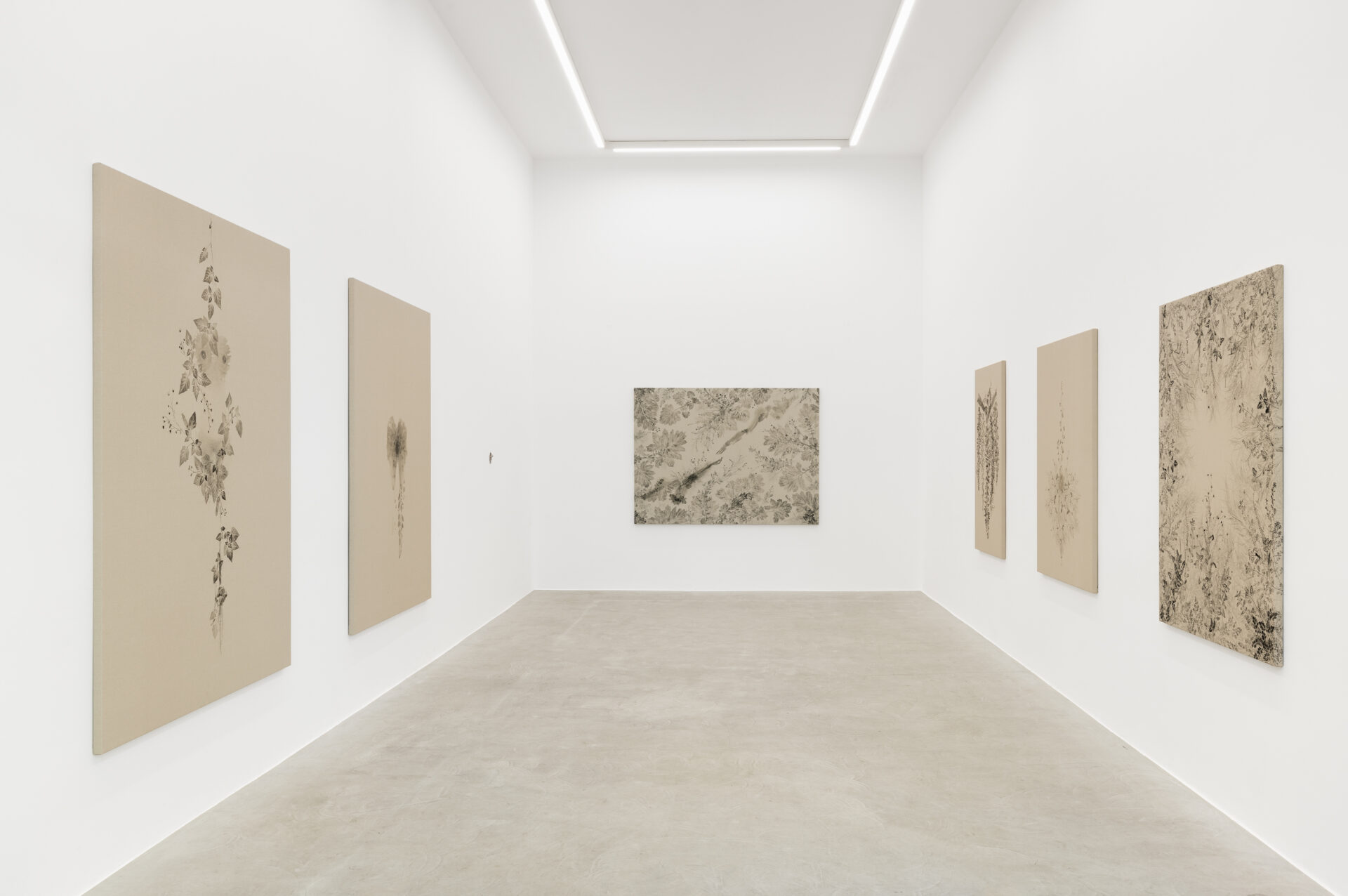 <i>Piante Vagabonde,</i> 2026 </br>
installation view,  kaufmann repetto, milan
